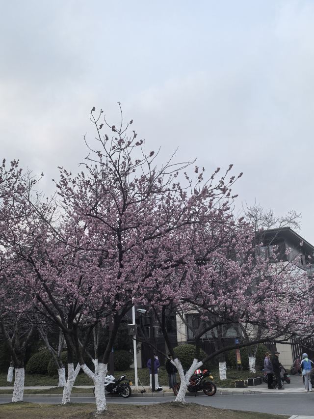 扬州大运河文化旅游度假区·大明寺旅行图片 1