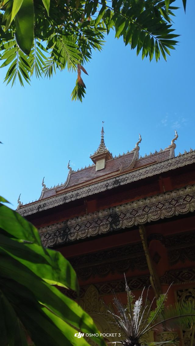 曼听御花园景区旅行图片 4