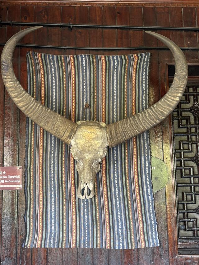 土家风情园旅行图片 2