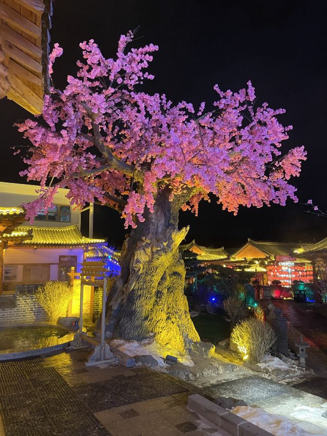 琵岩山温泉古村落旅行图片 2