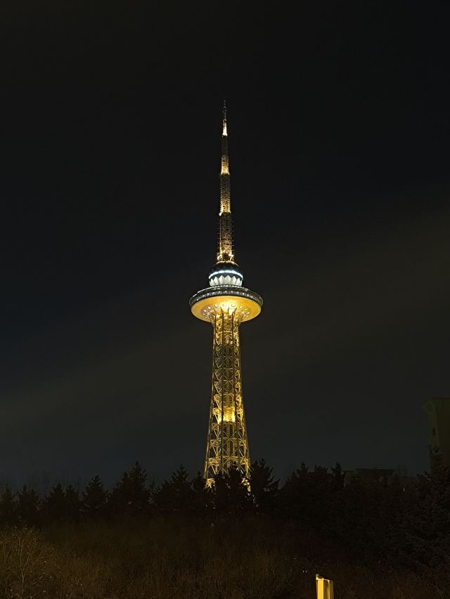 龙塔旅行图片 1