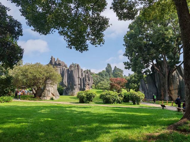桂林阳朔文化古迹山水园旅行图片 5