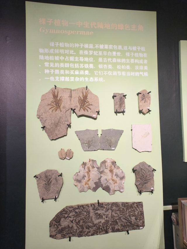 朝阳化石谷旅行图片 1