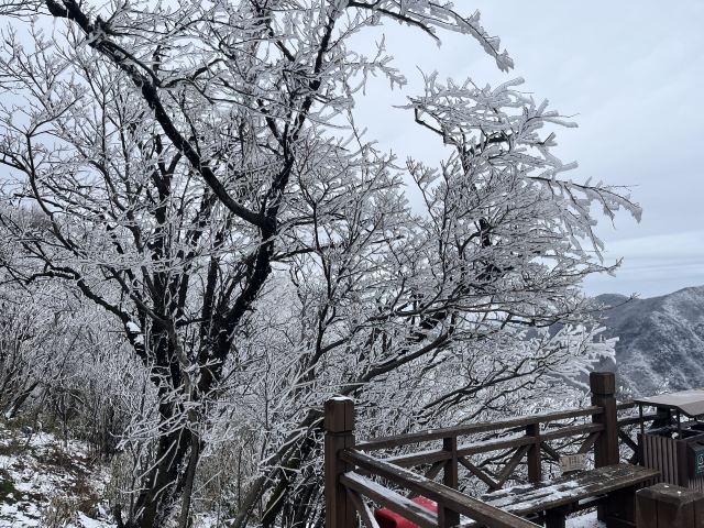 云上草原国际山地旅游度假区旅行图片 1