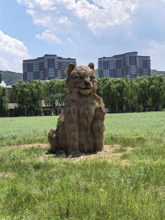 长兴太湖图影湿地文化园-观景塔旅行图片 5
