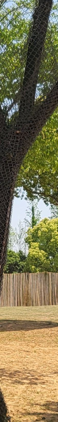 上海野生动物园-上海-劉柯彤