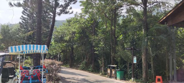 碧海湾景区旅行图片 3