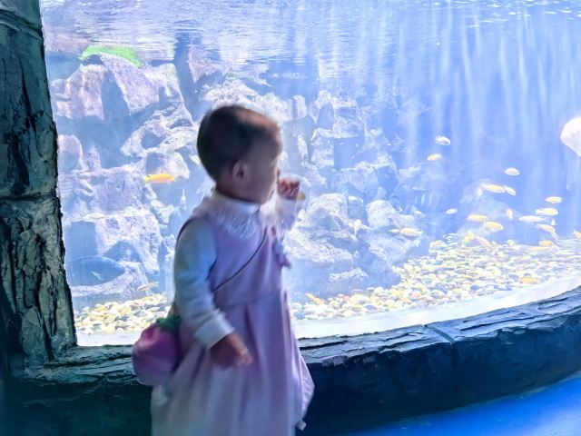 广汉海昌海洋探索馆旅行图片 1