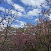 开云体育- 开云体育官方网站- 开云体育APP 最新20252026！日照“开门红”！