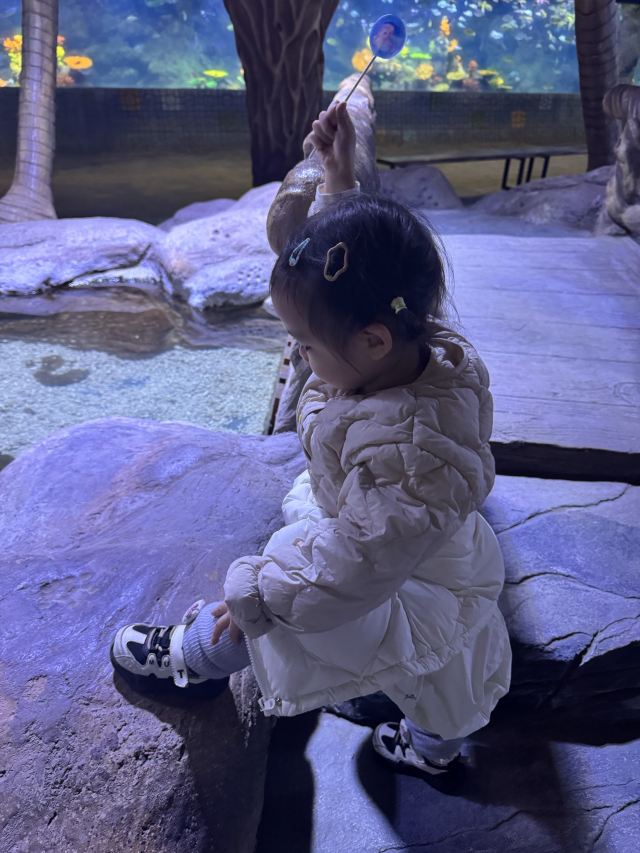 南昌海洋公园旅行图片 4