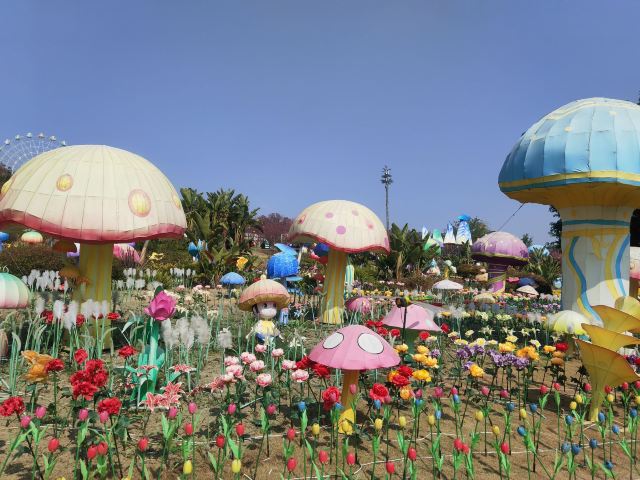音乐·百花谷旅行图片 3