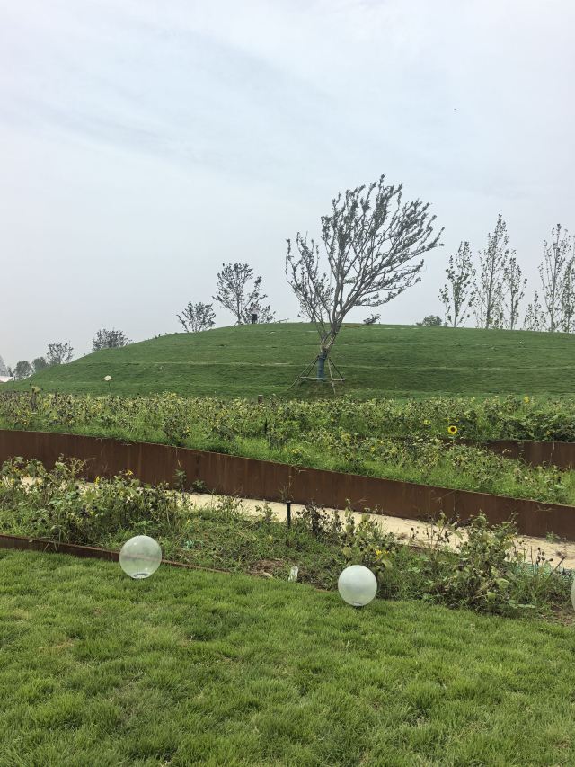 东方伊甸园旅行图片 5
