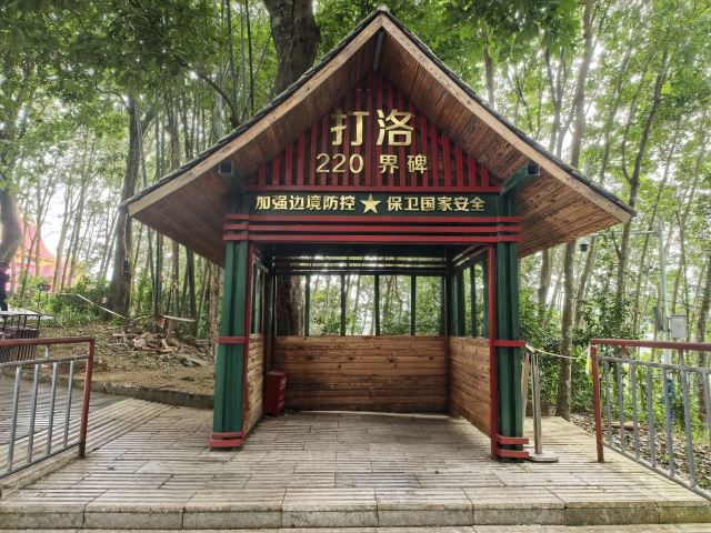 西双版纳独树成林景区旅行图片 1