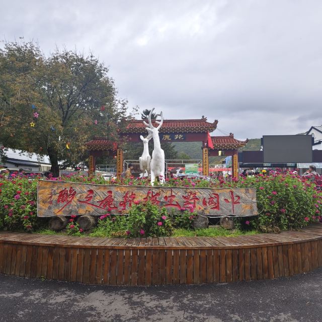 飞泷金山鹿苑旅行图片 3