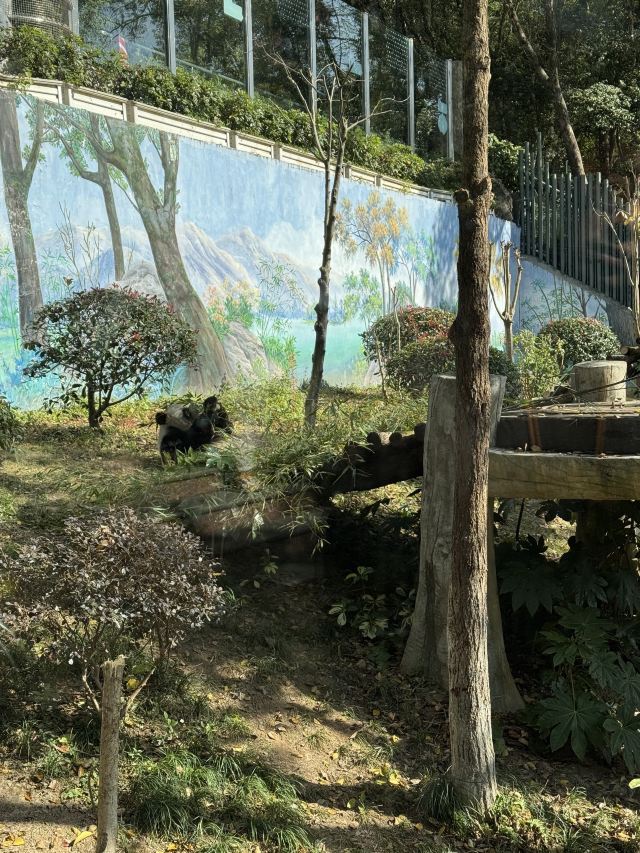 温州动物园旅行图片 1