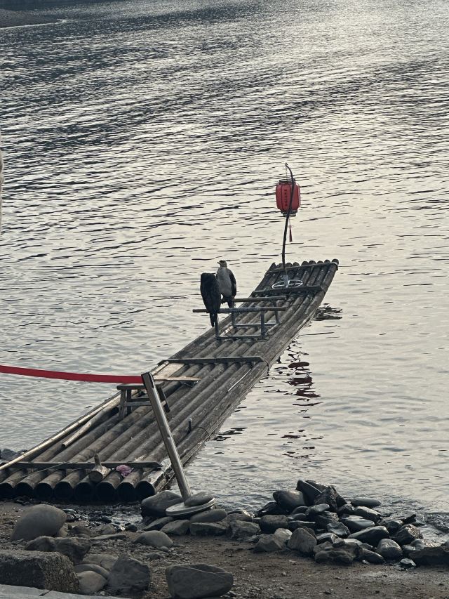 桃花潭旅游度假区旅行图片 1