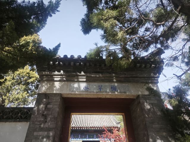 大观园旅行图片 6