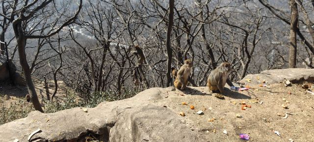 花果山风景区旅行图片 3