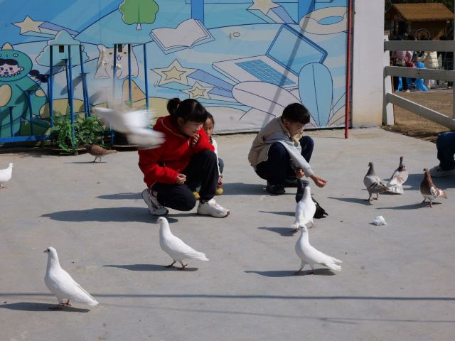 九江野生动物世界旅行图片 1
