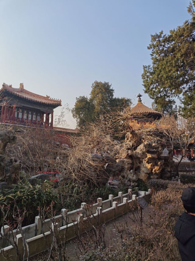 故宫博物院旅行图片 8