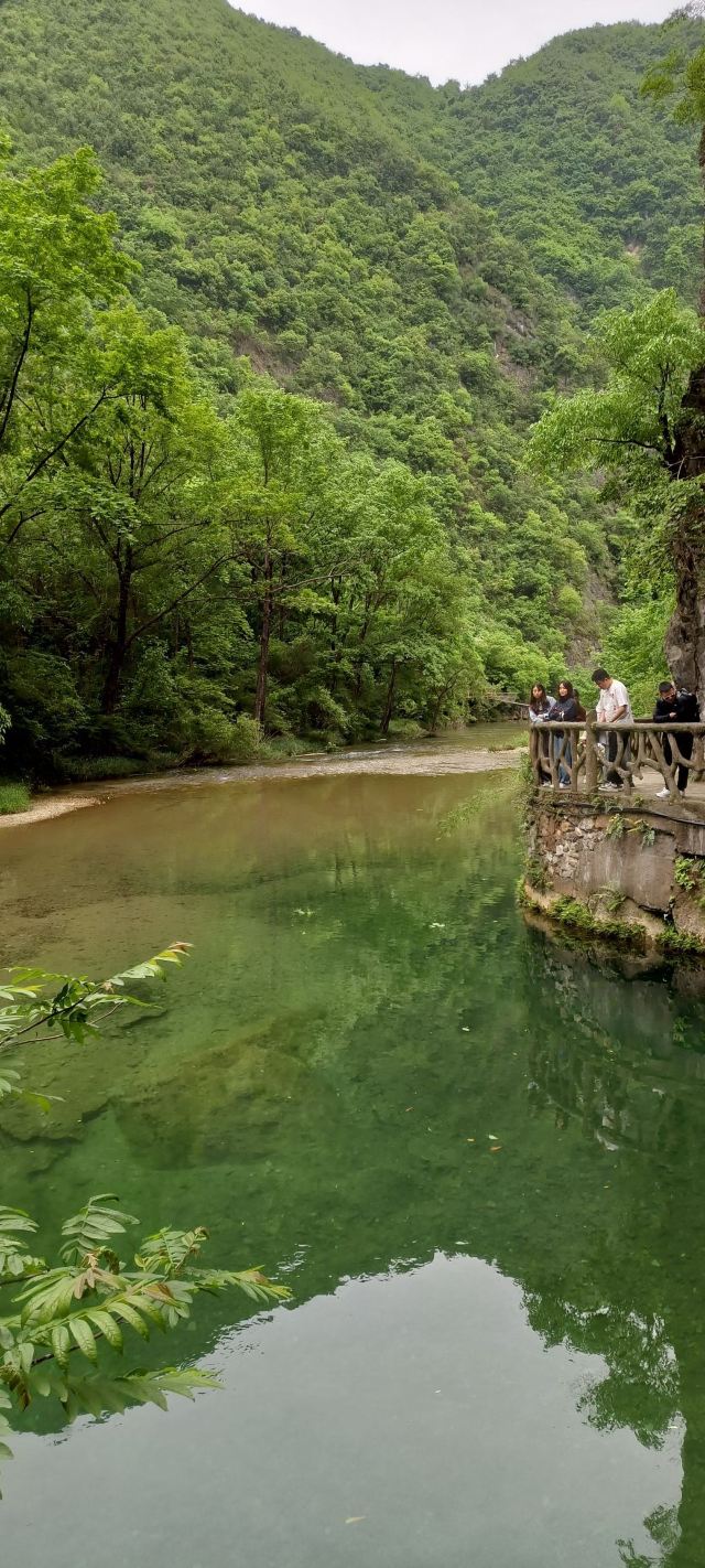 五龙河风景区旅行图片 4