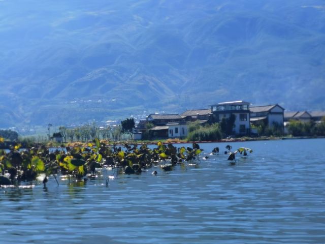 大理西湖旅行图片 3