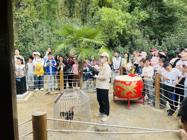 武汉野生动物王国旅行图片 4