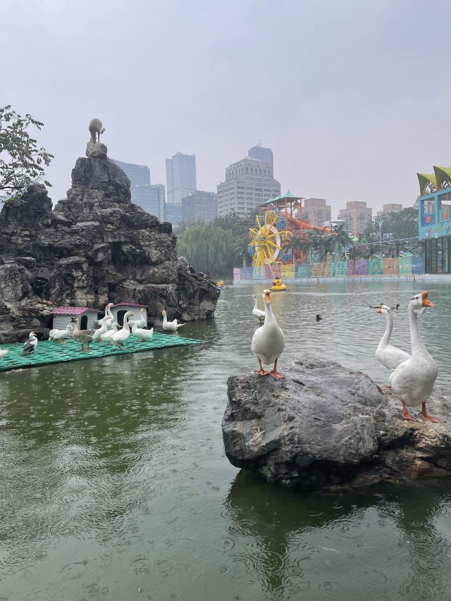 团结湖公园旅行图片 2