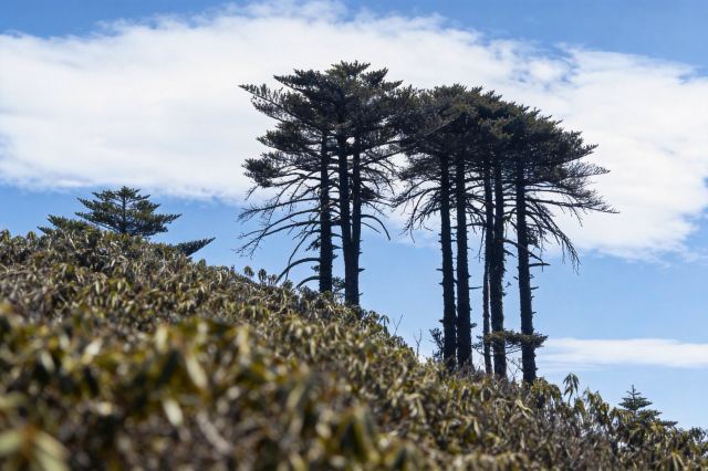 大理苍山世界地质公园旅行图片 4