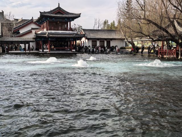 清照泉城·明水古城国际泉水旅游度假区旅行图片 4