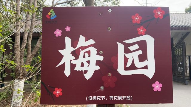 上海海湾国家森林公园旅行图片 2
