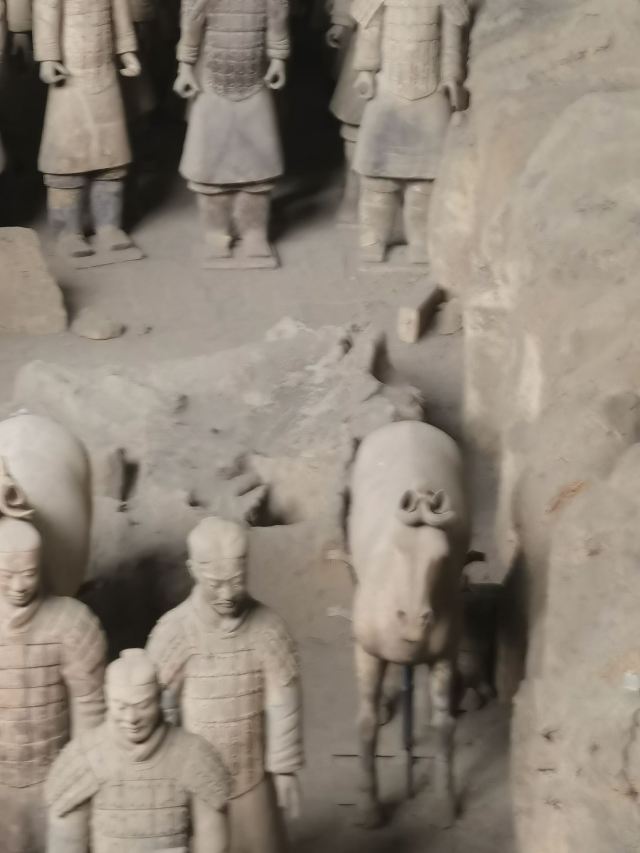 秦始皇帝陵博物院旅行图片 2