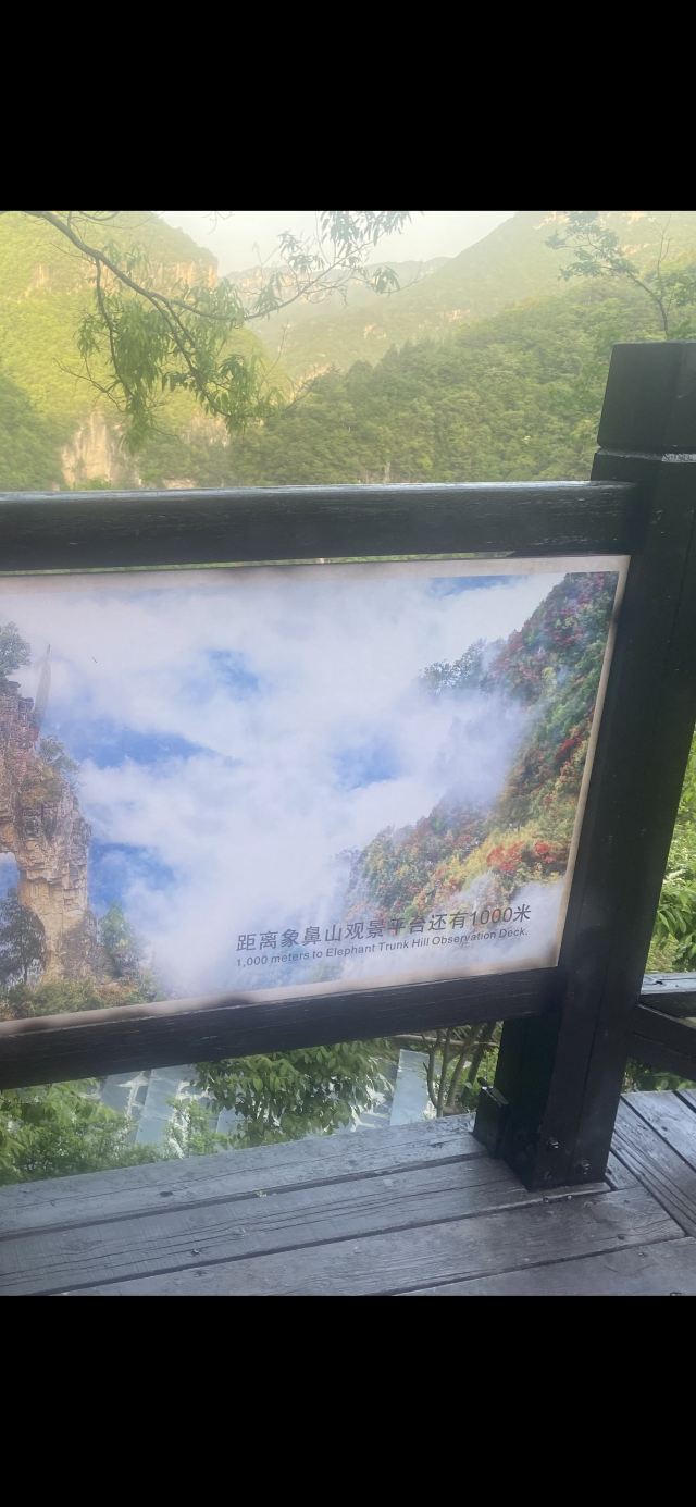 昭君旅游·保康九路寨生态旅游区旅行图片 2