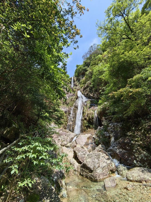 箬寮原始森林旅行图片 4