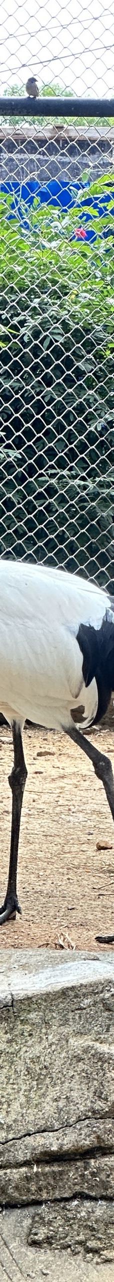 南宁动物园-南宁-试着微笑面对生活