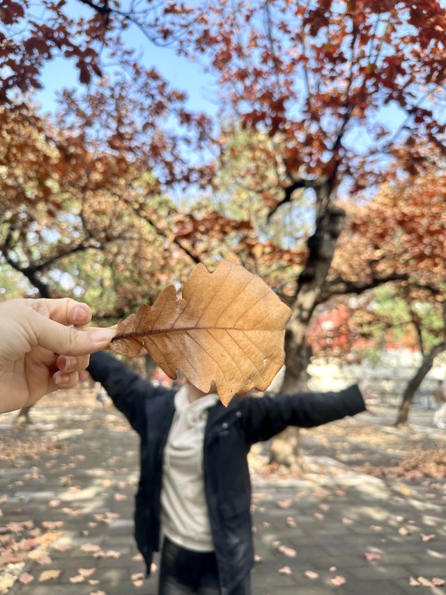 明十三陵景区旅行图片 3