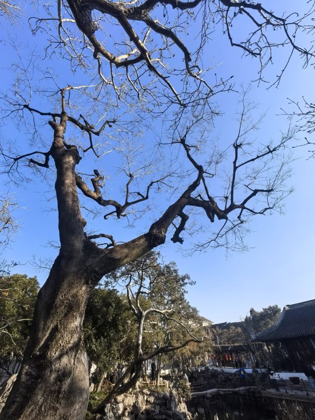 怡园旅行图片 1