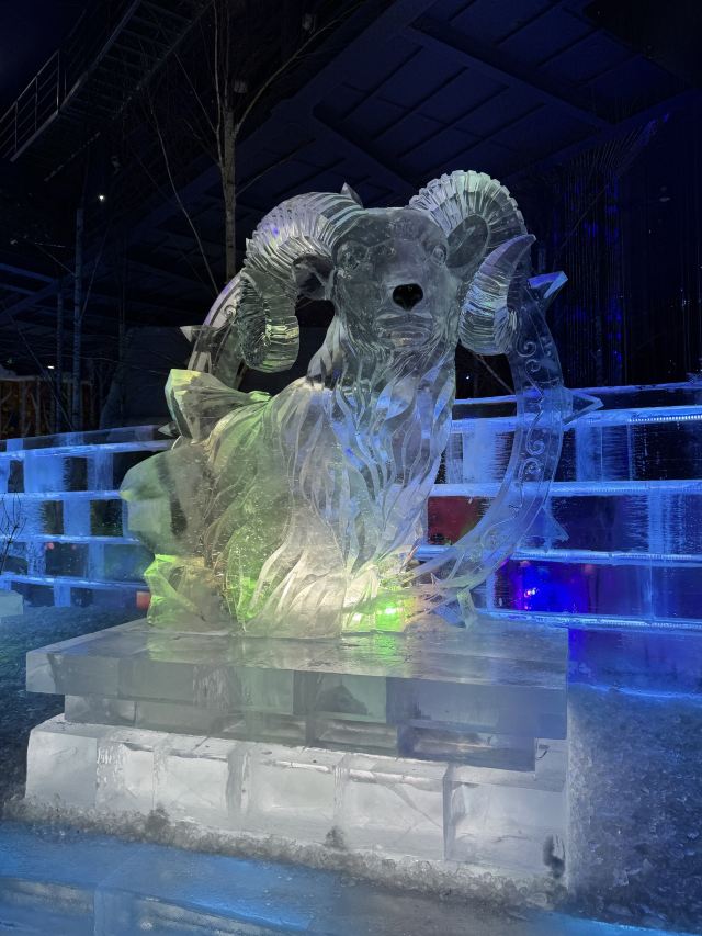 哈尔滨冰雪大世界文创旗舰店旅行图片 2