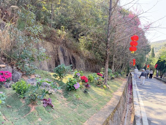 九鲤湖风景区旅行图片 2