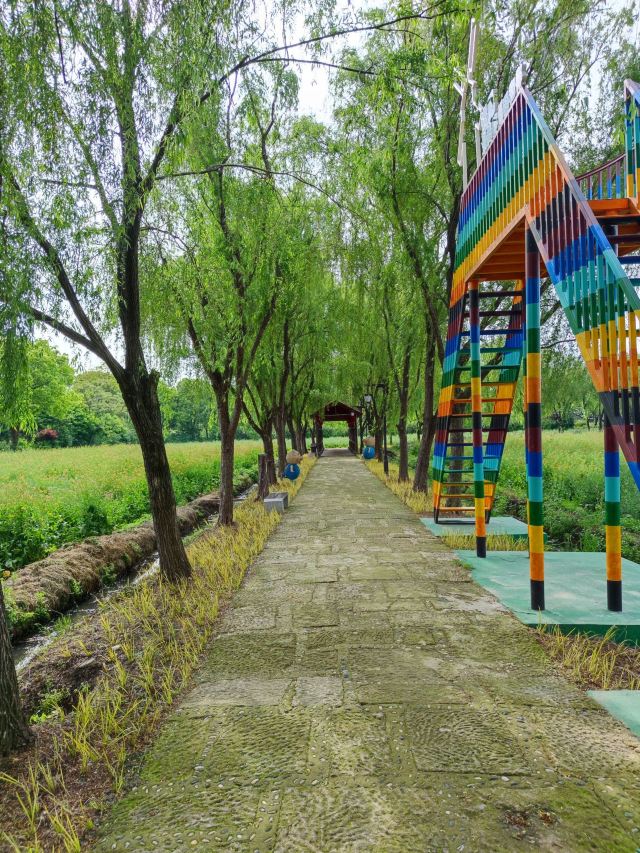 长兴太湖图影湿地文化园-观景塔旅行图片 2