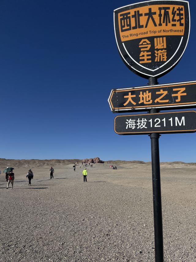 榆林窟旅行图片 2
