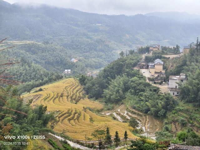 桃源梯田景区旅行图片 4