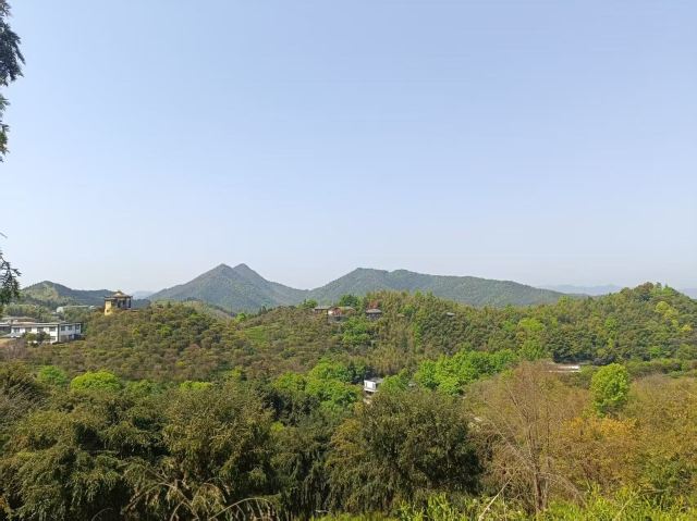虔心小镇腐竹坊旅行图片 2