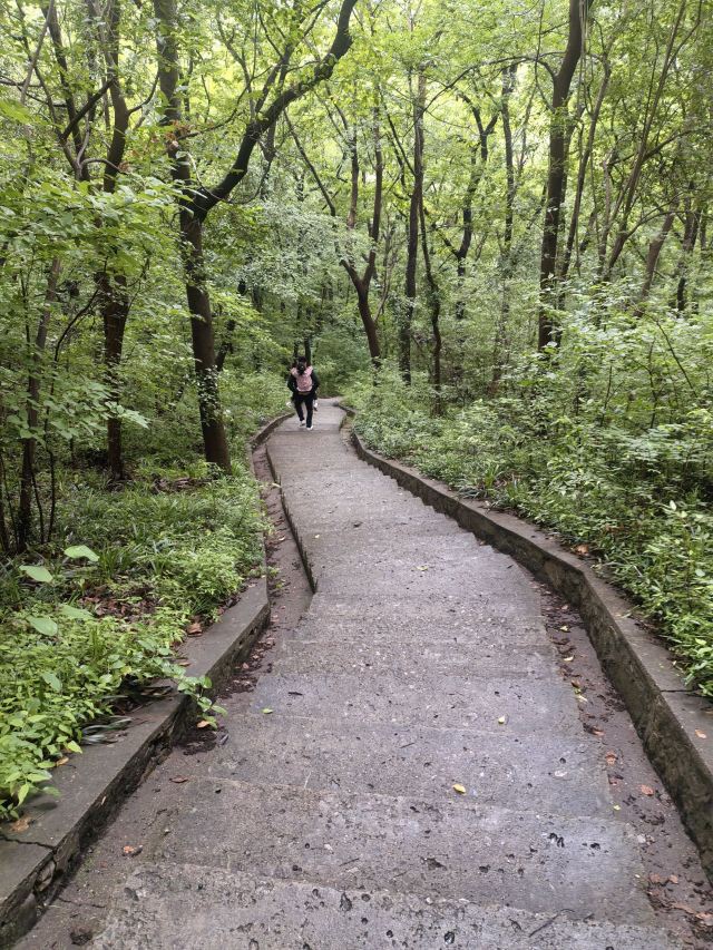 南山风景区旅行图片 5