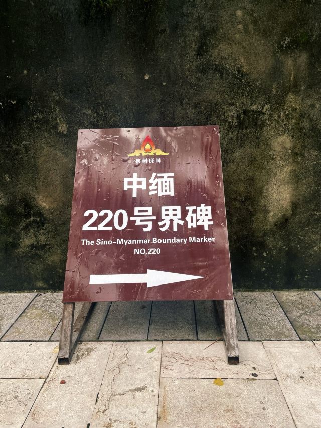 西双版纳独树成林景区旅行图片 2