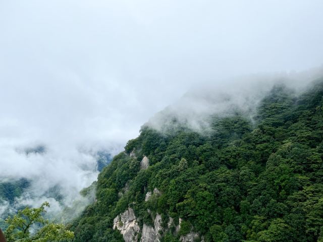 陕西省红河谷森林公园旅行图片 3