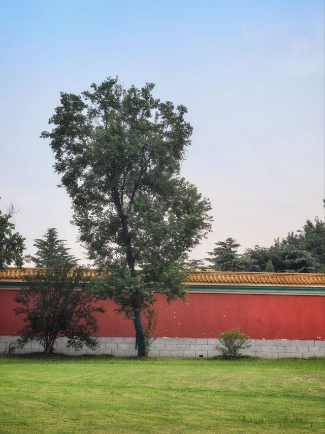 明祖陵旅行图片 3