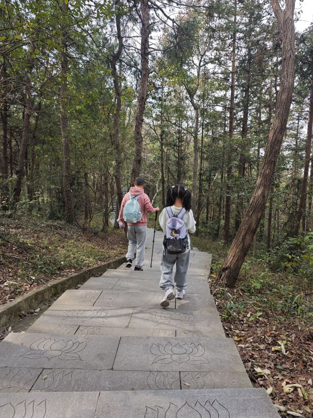 冶父山国家森林公园旅行图片 5
