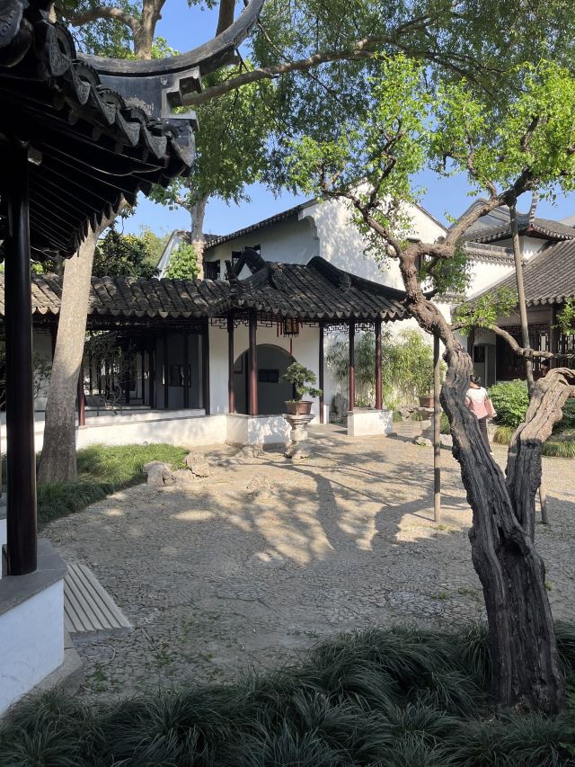 怡园旅行图片 5
