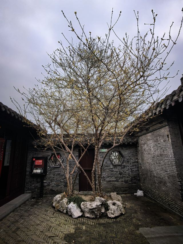 溱潼古镇旅游区旅行图片 8